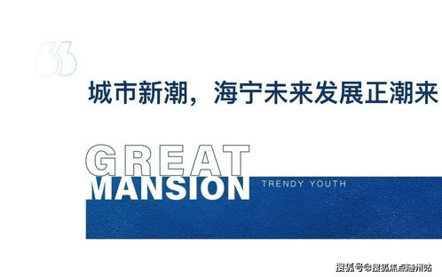 海寧2021網絡安全事件 官方緊急響應與軟件開發新動向